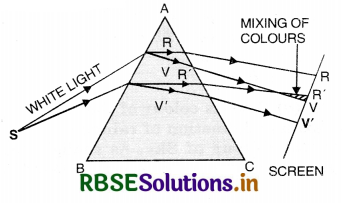RBSE Class 12 Physics Important Questions Chapter 9 Ray Optics and Optical Instruments 94