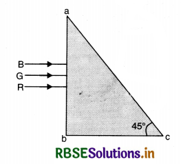 RBSE Class 12 Physics Important Questions Chapter 10 Wave Optics 10