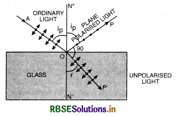 RBSE Class 12 Physics Important Questions Chapter 10 Wave Optics 12