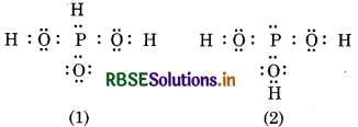 RBSE Solutions for Class 11 Chemistry Chapter 4 Chemical Bonding and Molecular Structure 13