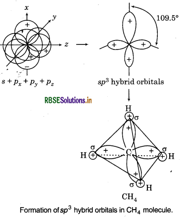 RBSE Solutions for Class 11 Chemistry Chapter 4 Chemical Bonding and Molecular Structure 27
