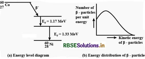 RBSE Class 12 Physics Important Questions Chapter 13 Nuclei 17