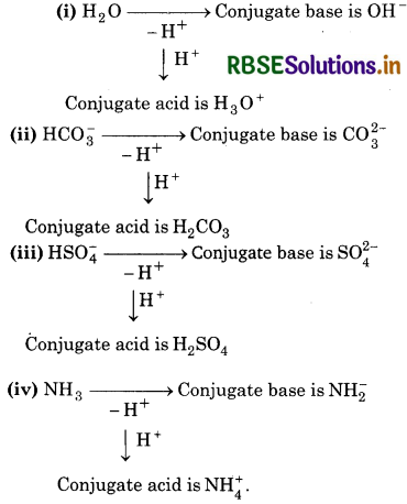 RBSE Solutions for Class 11 Chemistry Chapter 7 Equilibrium 91