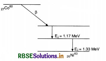 RBSE Class 12 Physics Important Questions Chapter 13 Nuclei 28