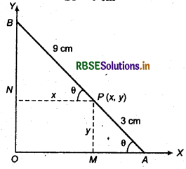 RBSE Solutions for Class 11 Maths Chapter 11 Conic Sections Miscellaneous Exercise 8