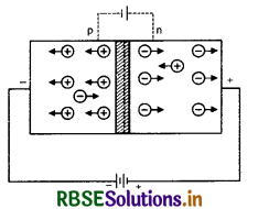 RBSE Class 12 Physics Important Questions Chapter 14 Semiconductor Electronics: Materials, Devices and Simple Circuits 24