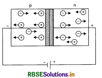 RBSE Class 12 Physics Important Questions Chapter 14 Semiconductor Electronics: Materials, Devices and Simple Circuits 48