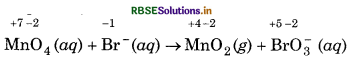 RBSE Solutions for Class 11 Chemistry Chapter 8 Redox Reactions 11