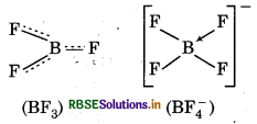 RBSE Solutions for Class 11 Chemistry Chapter 11 The p-Block Elements 7