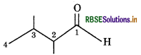 RBSE Solutions for Class 11 Chemistry Chapter 12 Organic Chemistry - Some Basic Principles and Techniques 36