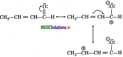 RBSE Solutions for Class 11 Chemistry Chapter 12 Organic Chemistry - Some Basic Principles and Techniques 46