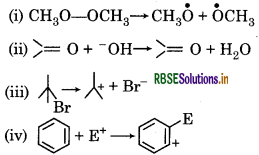 RBSE Solutions for Class 11 Chemistry Chapter 12 Organic Chemistry - Some Basic Principles and Techniques 55