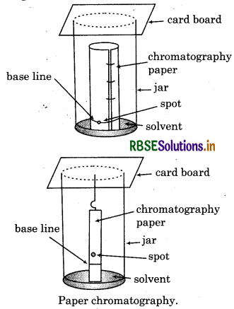 RBSE Solutions for Class 11 Chemistry Chapter 12 Organic Chemistry - Some Basic Principles and Techniques 64
