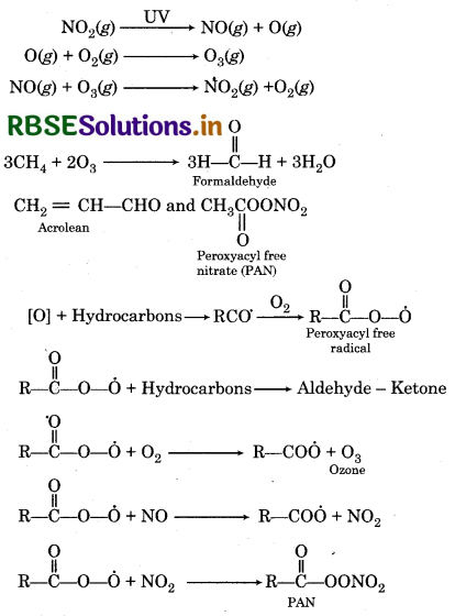 RBSE Solutions for Class 11 Chemistry Chapter  14 Environmental Chemistry 1