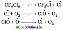RBSE Solutions for Class 11 Chemistry Chapter  14 Environmental Chemistry 2