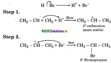 RBSE Solutions for Class 11 Chemistry Chapter 13 Hydrocarbons 49