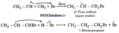 RBSE Solutions for Class 11 Chemistry Chapter 13 Hydrocarbons 51