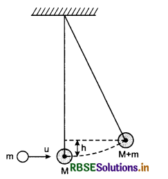 RBSE Solutions for Class 11 Physics Chapter 6 Work, Energy and Power 16