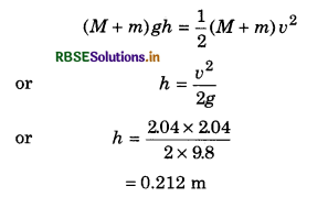 RBSE Solutions for Class 11 Physics Chapter 6 Work, Energy and Power 17