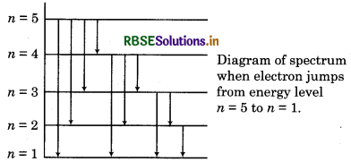 RBSE Class 11 Chemistry Important Questions Chapter 2 Structure of Atom 11