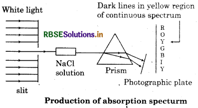 RBSE Class 11 Chemistry Important Questions Chapter 2 Structure of Atom 4
