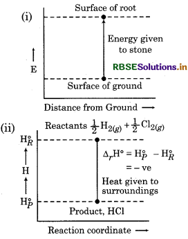 RBSE Class 11 Chemistry Important Questions Chapter 6 Thermodynamics 6