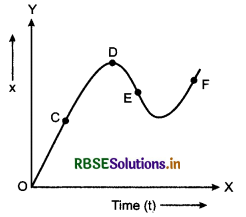 RBSE Class 11 Physics Important Questions Chapter 3 Motion in a Straight Line 7