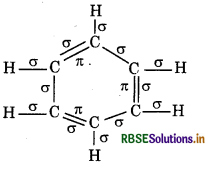 RBSE Class 11 Chemistry Important Questions Chapter 13 Hydrocarbons 17