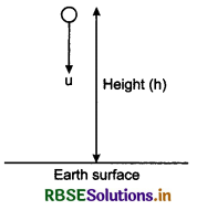 RBSE Class 11 Physics Important Questions Chapter 3 Motion in a Straight Line 49