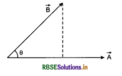 RBSE Class 11 Physics Important Questions Chapter 4 Motion in a Plane 3