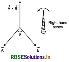RBSE Class 11 Physics Important Questions Chapter 4 Motion in a Plane 7