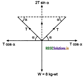 RBSE Class 11 Physics Important Questions Chapter 4 Motion in a Plane 21