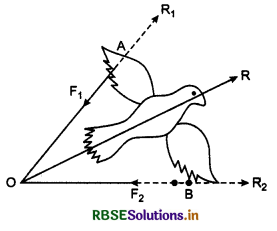 RBSE Class 11 Physics Important Questions Chapter 4 Motion in a Plane 22