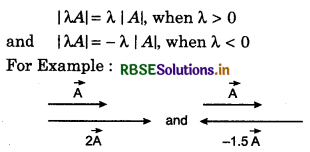 RBSE Class 11 Physics Important Questions Chapter 4 Motion in a Plane 40