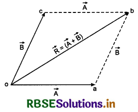 RBSE Class 11 Physics Important Questions Chapter 4 Motion in a Plane 44
