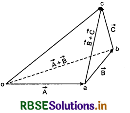 RBSE Class 11 Physics Important Questions Chapter 4 Motion in a Plane 47