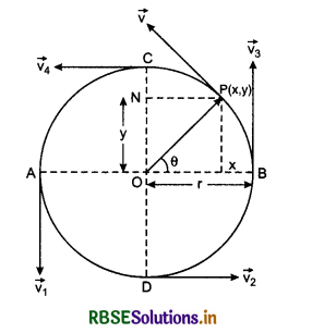 RBSE Class 11 Physics Important Questions Chapter 4 Motion in a Plane 57