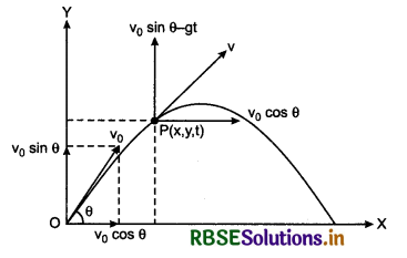 RBSE Class 11 Physics Important Questions Chapter 4 Motion in a Plane 134