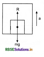 RBSE Class 11 Physics Important Questions Chapter 5 Laws of Motion 4