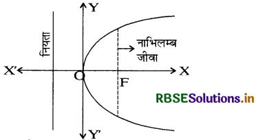 RBSE Solutions for Class 11 Maths Chapter 11 शंकु परिच्छेद Ex 11.2 5