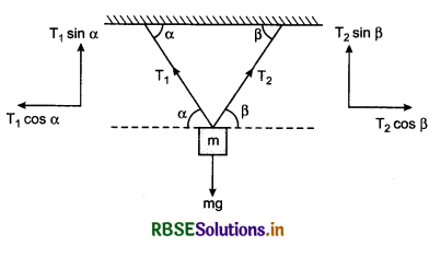 RBSE Class 11 Physics Important Questions Chapter 5 Laws of Motion 81