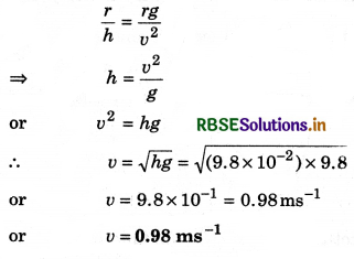 RBSE Class 11 Physics Important Questions Chapter 5 Laws of Motion 92