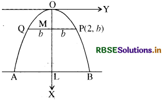 RBSE Solutions for Class 11 Maths Chapter 11 शंकु परिच्छेद विविध प्रश्नावली 2