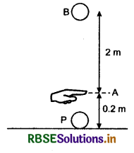 RBSE Class 11 Physics Important Questions Chapter 5 Laws of Motion 124