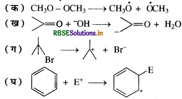 RBSE Solutions for Class 11 Chemistry Chapter 12 कार्बनिक रसायन  कुछ आधारभूत सिद्धांत तथा तकनीकें 22