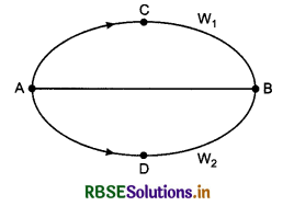 RBSE Class 11 Physics Important Questions Chapter 6 Work, Energy and Power 10