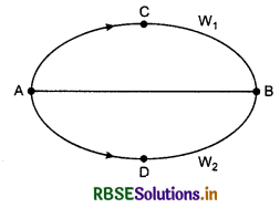 RBSE Class 11 Physics Important Questions Chapter 6 Work, Energy and Power 11