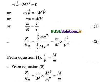 RBSE Class 11 Physics Important Questions Chapter 6 Work, Energy and Power 14