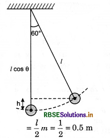 RBSE Class 11 Physics Important Questions Chapter 6 Work, Energy and Power 16