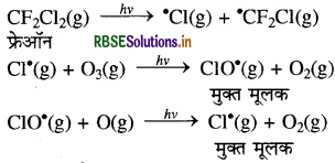 RBSE Solutions for Class 11 Chemistry Chapter 14 पर्यावरणीय रसायन 5
